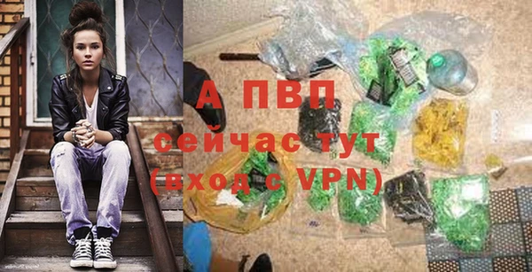 стафф Володарск