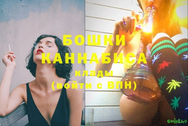 PSILOCYBIN Волоколамск