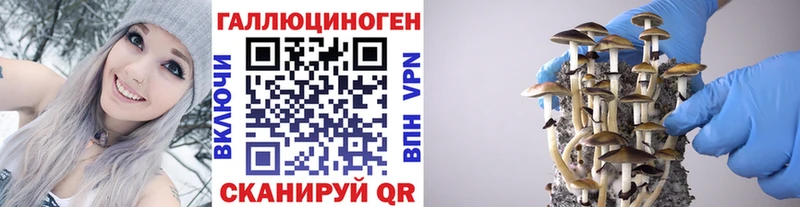 Галлюциногенные грибы MAGIC MUSHROOMS  Одинцово 